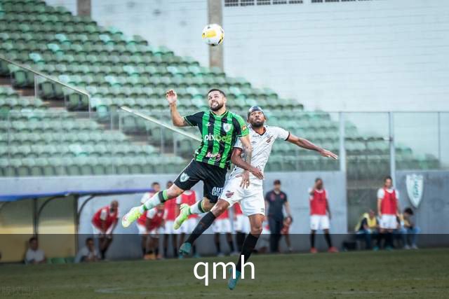 qmh公司介绍